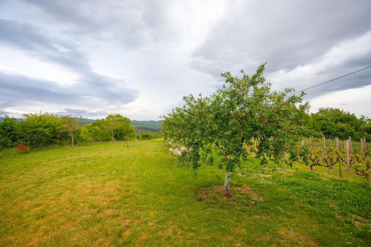 Casa Di Oliva-House With Heated Pool & Jacuzzi In Trilj, Croatia Villa Bagian luar foto