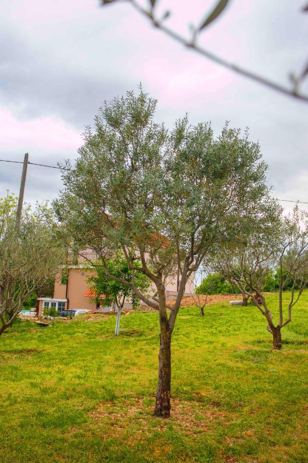 Casa Di Oliva-House With Heated Pool & Jacuzzi In Trilj, Croatia Villa Bagian luar foto