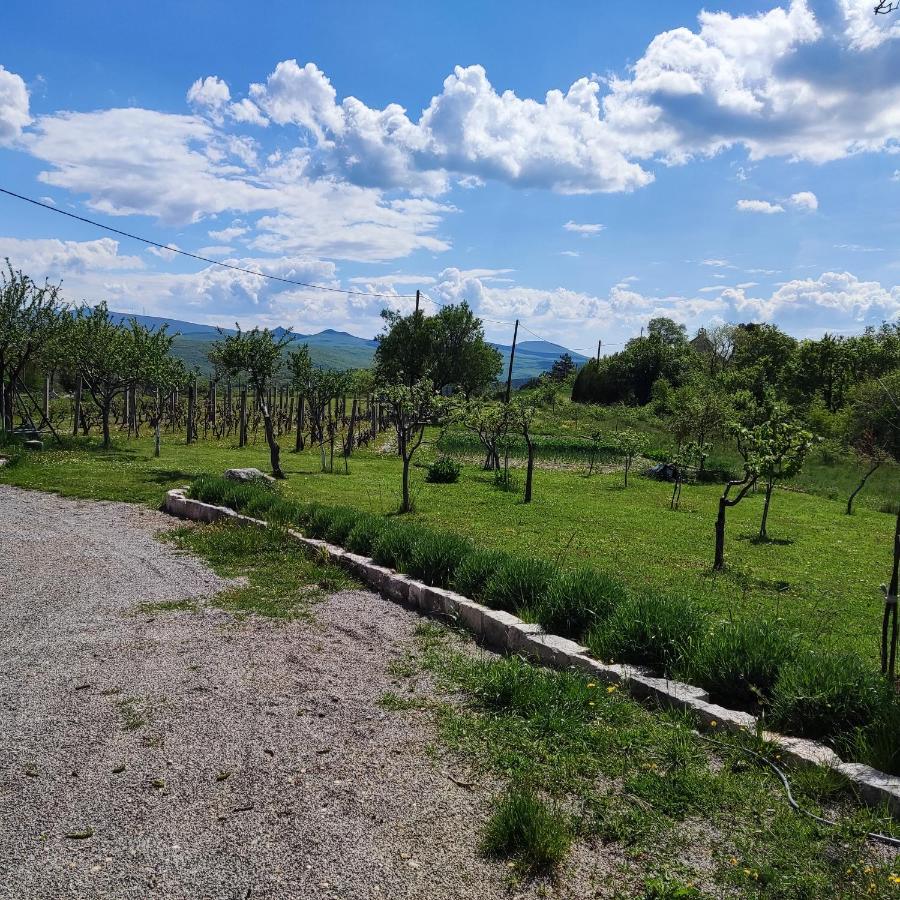 Casa Di Oliva-House With Heated Pool & Jacuzzi In Trilj, Croatia Villa Bagian luar foto